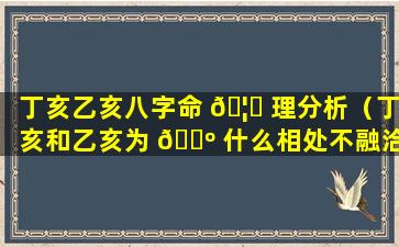 丁亥乙亥八字命 🦄 理分析（丁亥和乙亥为 🐺 什么相处不融洽）